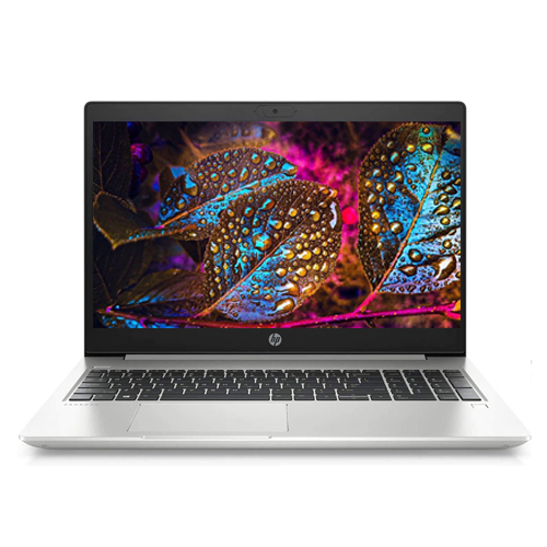 HP ProBook 450 G8 (i5/Win 10 Home)